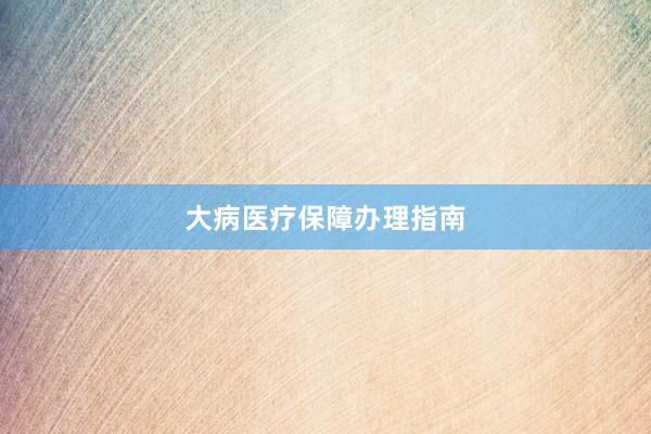 大病医疗保障办理指南