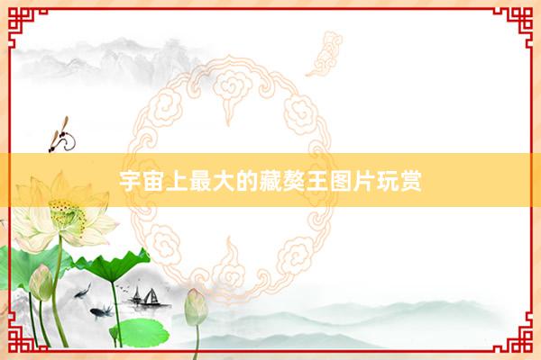 宇宙上最大的藏獒王图片玩赏