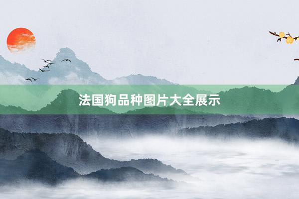 法国狗品种图片大全展示
