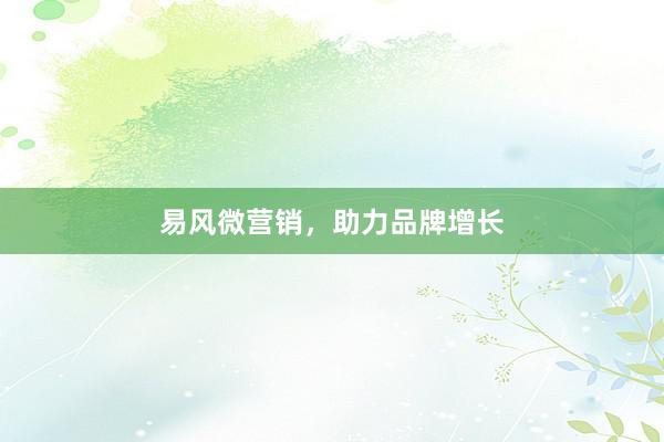 易风微营销，助力品牌增长